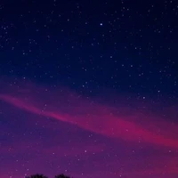 tất cả mọi người