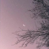 tác giả cute hột me