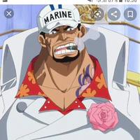 akainu