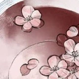 nv tổng hợp