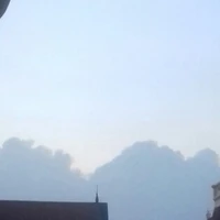 Tác giả