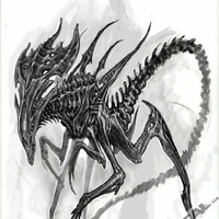 Se