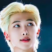 NamJoon(nam)