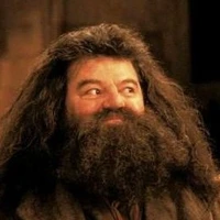 Rubeus Hagrid