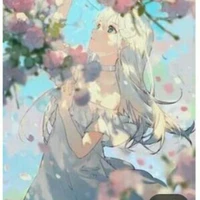 sakanaki sakura