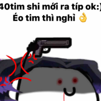 Coan tác giả 