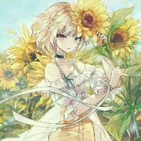 Charlotte Rosia / Rose