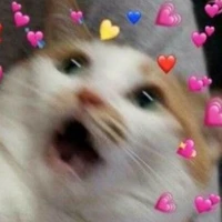 Coan Tác Giả Kim Te:)