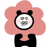 2N48 dangyeu