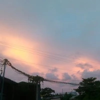 NV quần chúng xung quanh
