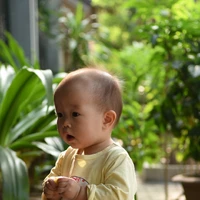 tác giả Tiên