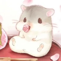 hệ thống 502 *bubu*