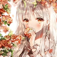 kansiyo zuchika