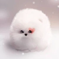 Chick Ki