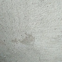 tất cả mọi người