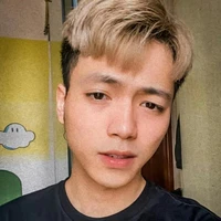 mr.vịt