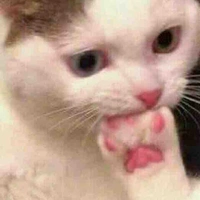 Changg (