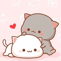 Mèo - tác giả