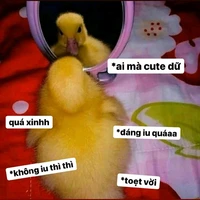 HệThống/Tử/