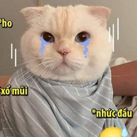 Con tác giả😀