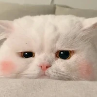 sen