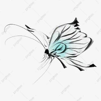 mn hội Black Butterfly