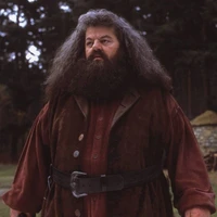 Rubeus Hagrid