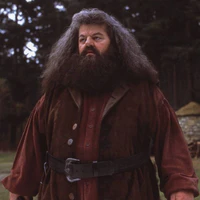 Rubeus Hagrid