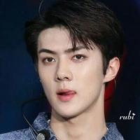 Oh Se Hoon ( SeHun )