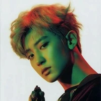 Park Chan Yeol ( Chanyeol )