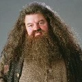Hagrid