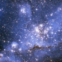 tất cả thần thú