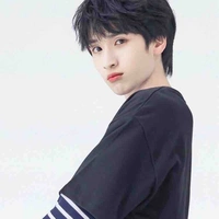 Nghiêm Hạo Tường