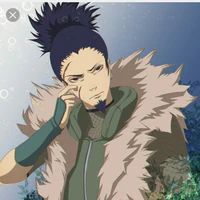 Shikaku