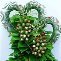 Tác Giả CUTE