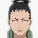 naru shikamaru
