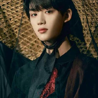 đinh trình hâm