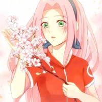 Haruno Sakura