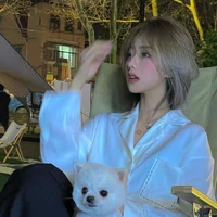Han Y/n