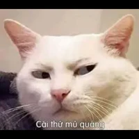 lớp 3-E