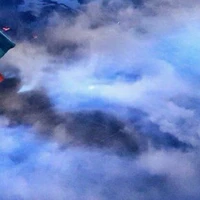 Cha Lão Ôn ( Chân Như Ngọc )