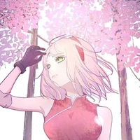 Haruno Sakura