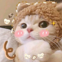Nv phụ