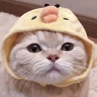 Tác giả ciute:33