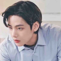 Kim Taehyung ( V )