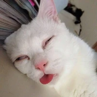 TG-Lầy