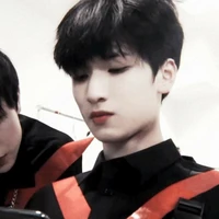 Nghiêm Hạo Tường