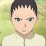 Shikadai