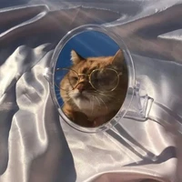 🌺Tác giả Mun🌺