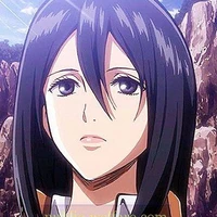 mikasa